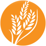 دسته بندی برنج