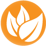 دسته بندی گیاهان دارویی